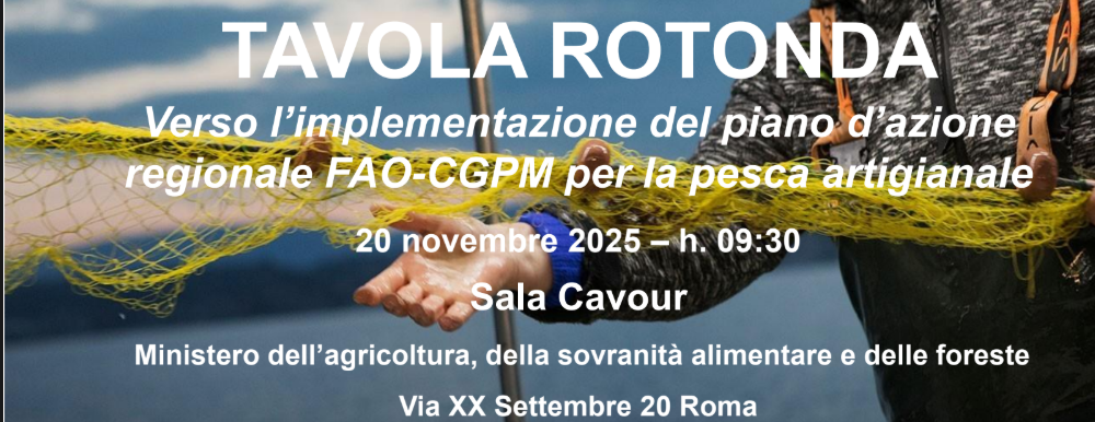 Verso l’implementazione del piano d’azione regionale fao-cgpm per la pesca artigianale nel mediterraneo e nel mar nero